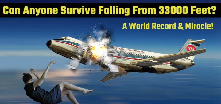 air crash survivor stories